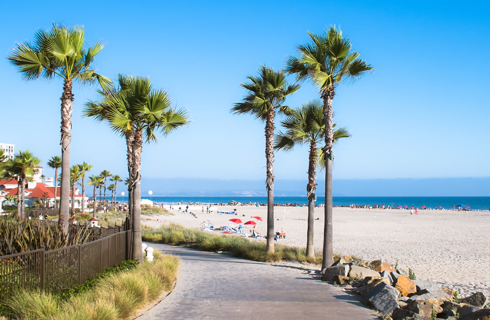 San-Deigo - iVNT san-deigo