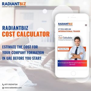 Cost Calculator for Company Setup