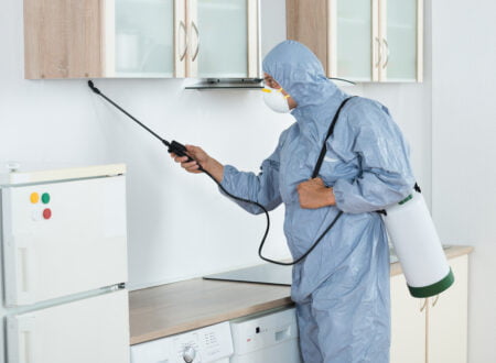 Effective Pest Control Services In Tampa Safeguarding Your Home And Health