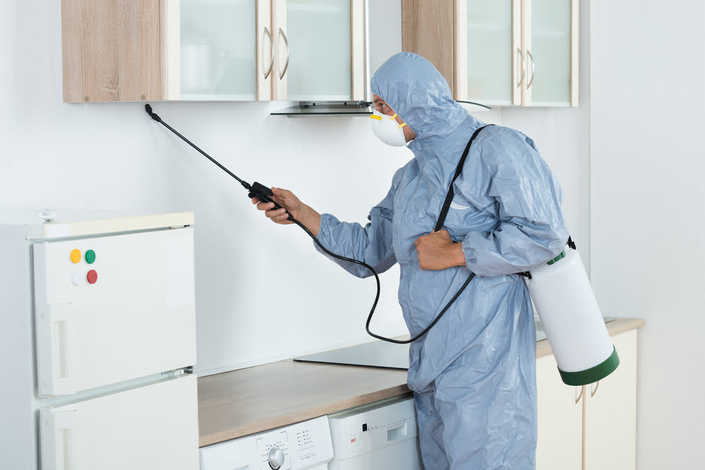 Effective Pest Control Services In Tampa Safeguarding Your Home And Health