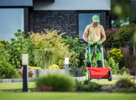 Choosing The Best Lawn Fertilizing Services A Comprehensive Guide